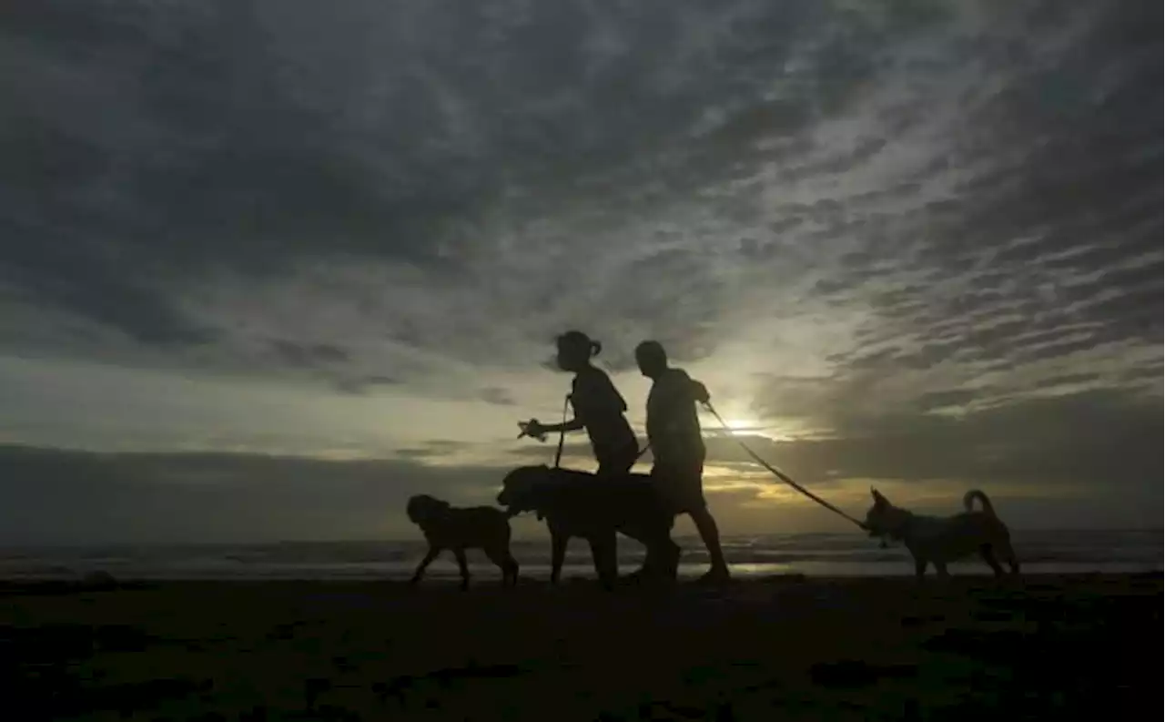 South Padre Island named top travel destination in Texas for 2022