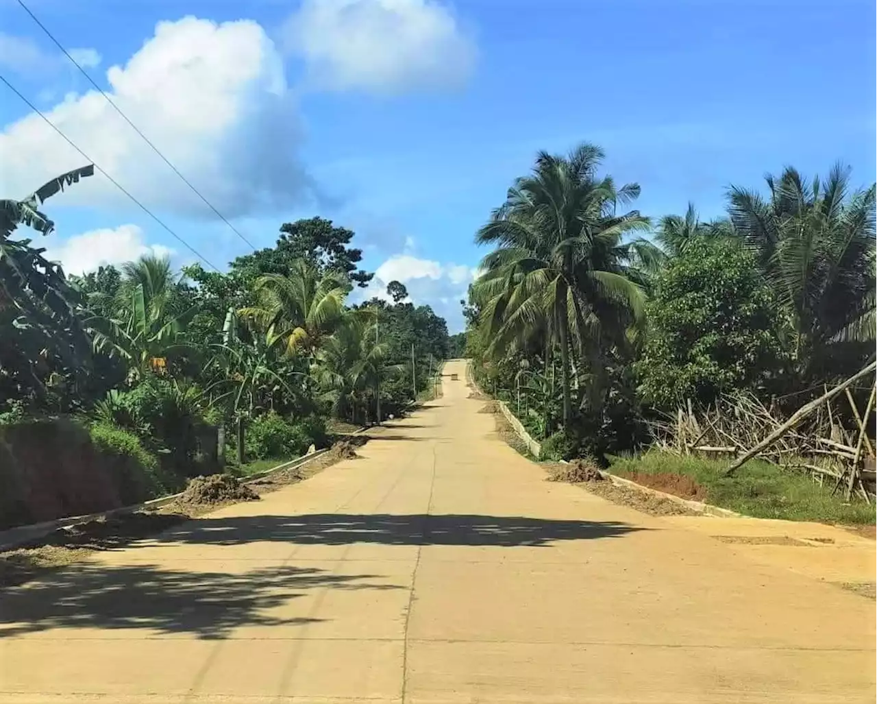 P29-M road opens in Aklan, to benefit coconut farmers