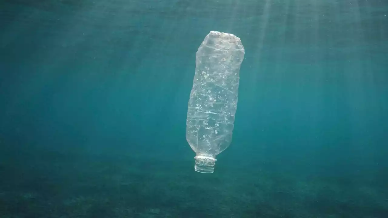 Studie: Grund der Tiefsee stärker mit Plastik belastet als angenommen