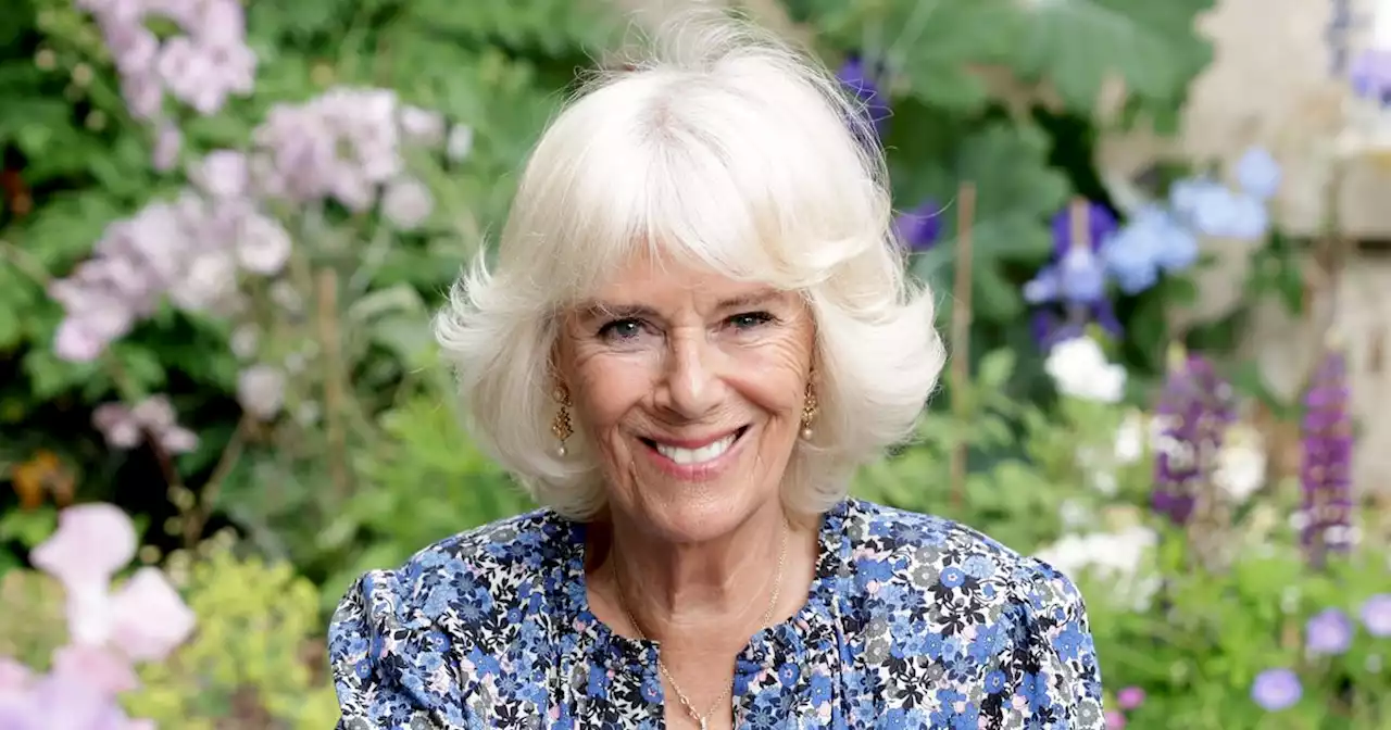 Future Queen consort Camilla beams in regal new portrait marking 75th birthday