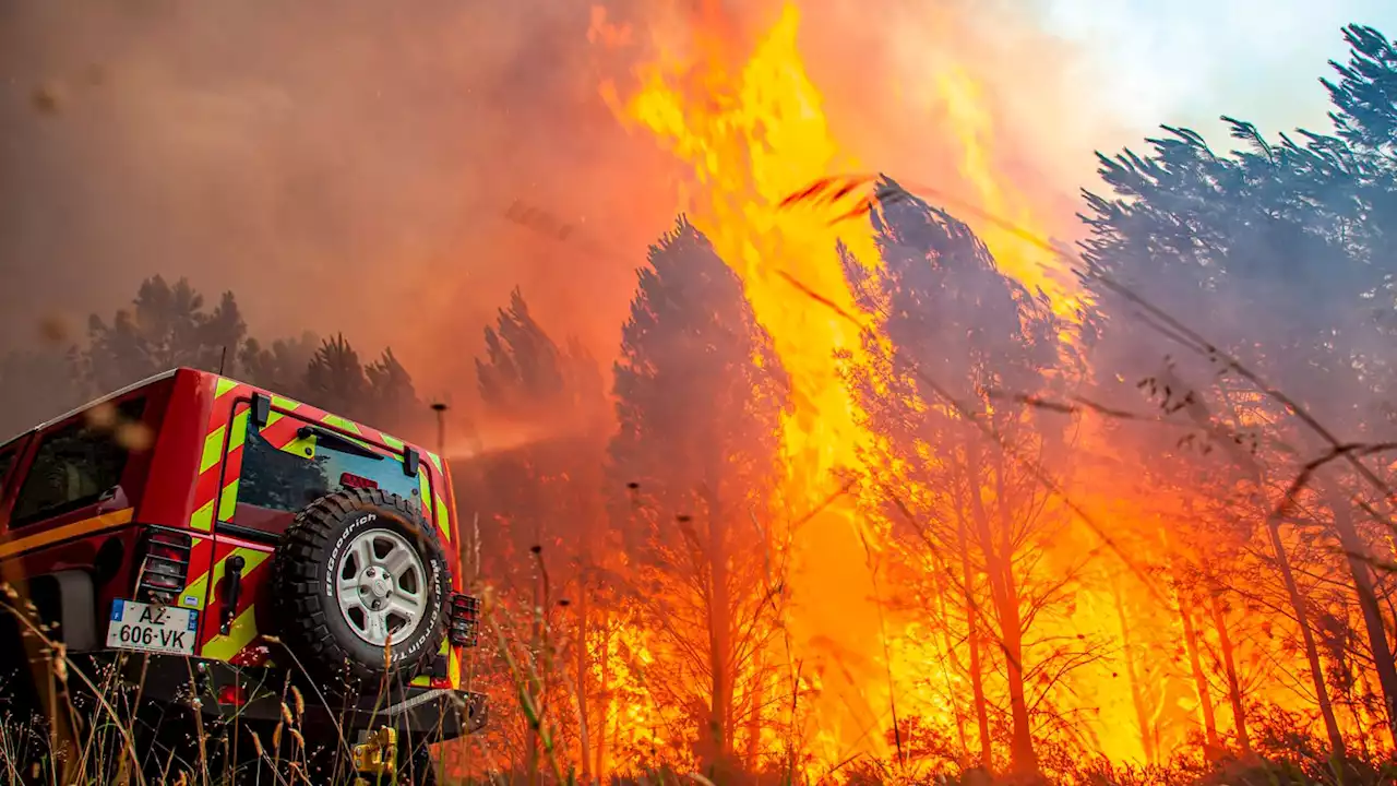 French firefighters battle huge forest blaze and pilot dies in crash in Portugal as wildfires rage across Europe