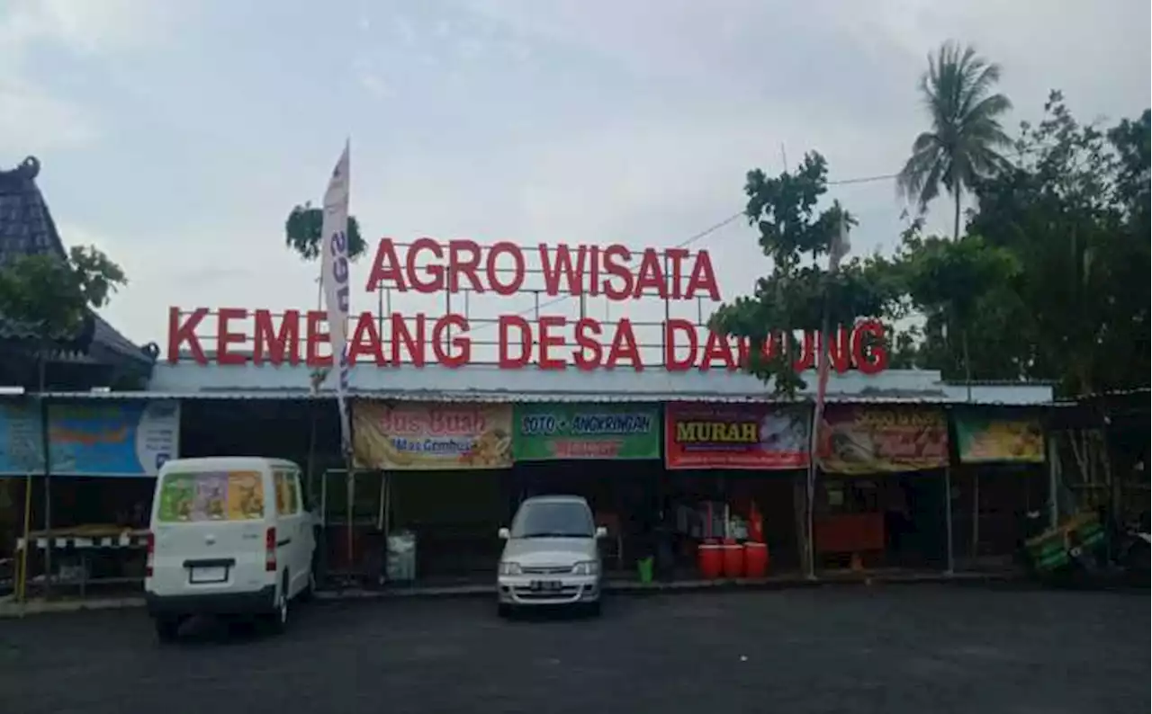 Ada Wisata Petik Anggur di Agrowisata Kembang Desa Dawung Matesih, Mau?