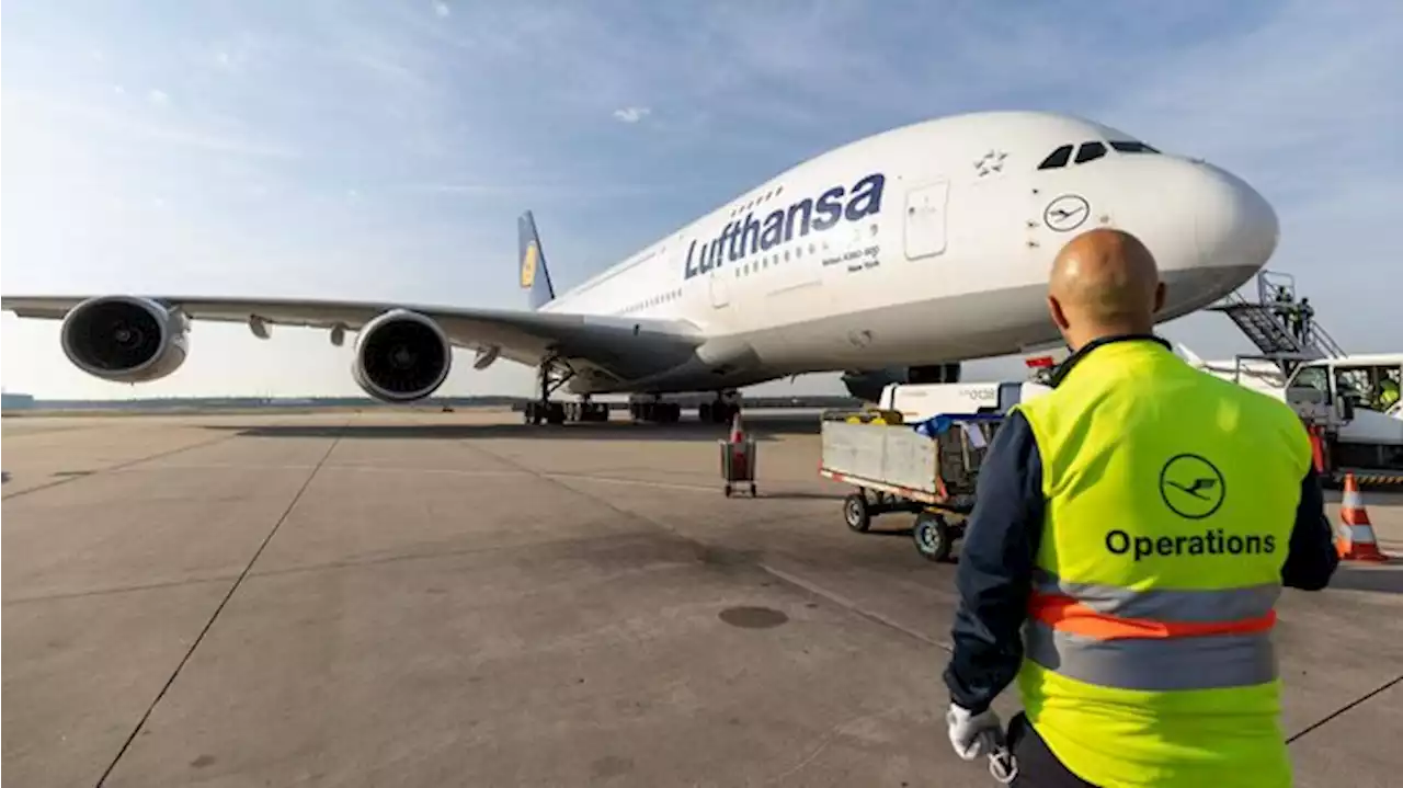 Bis zu 30 Prozent Ausfälle beim Bodenpersonal der Lufthansa