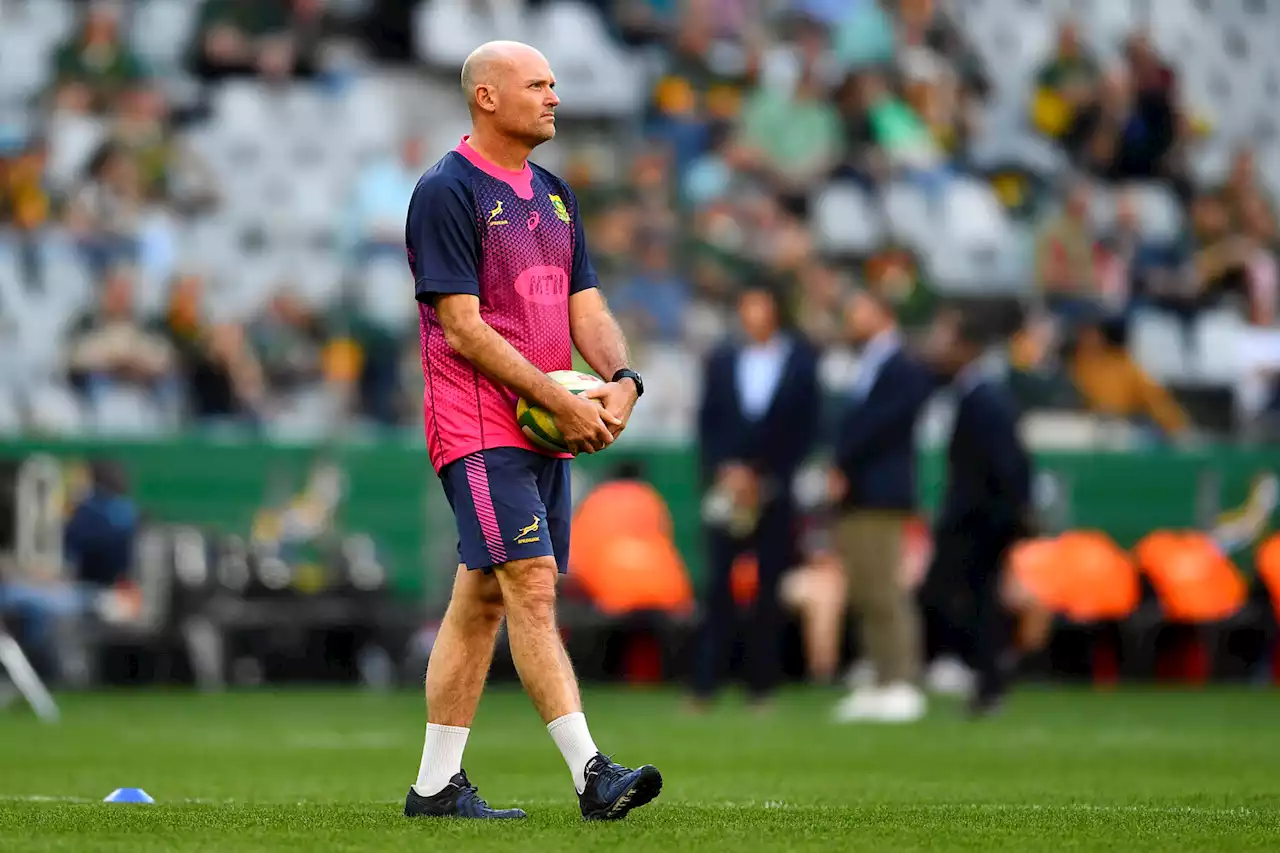 'A lot to work on,' but Nienaber gives Springboks the thumbs up | The Citizen