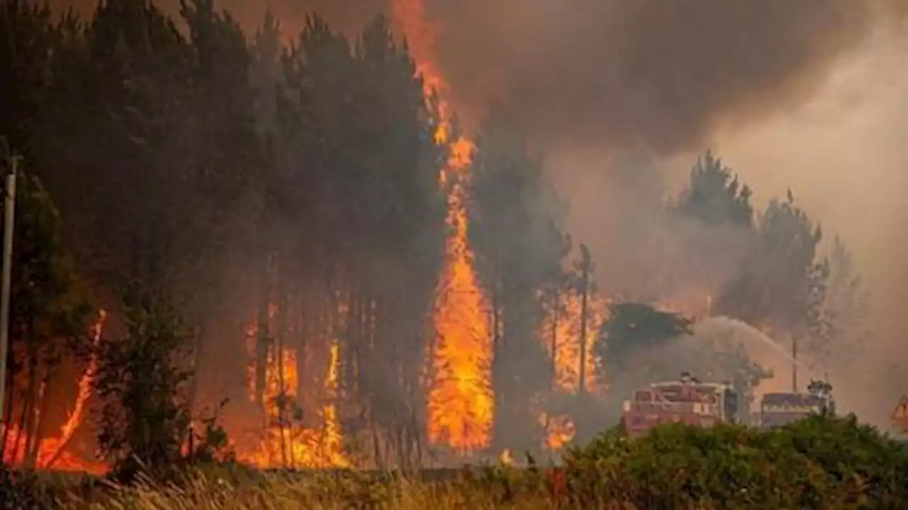 Wildfires rage across southwest Europe amid scorching weather