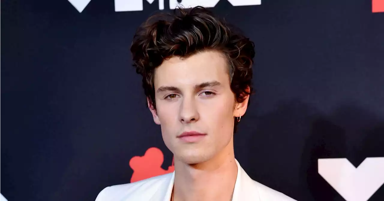 Everything Shawn Mendes Has Said About His Mental Health Battle