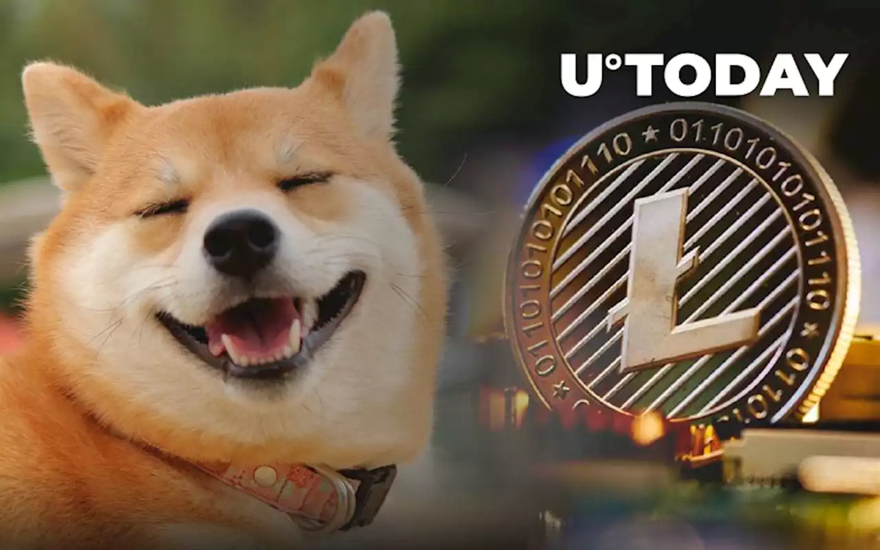 Shiba Inu Major Developer Trolls LTC, Litecoin Responds