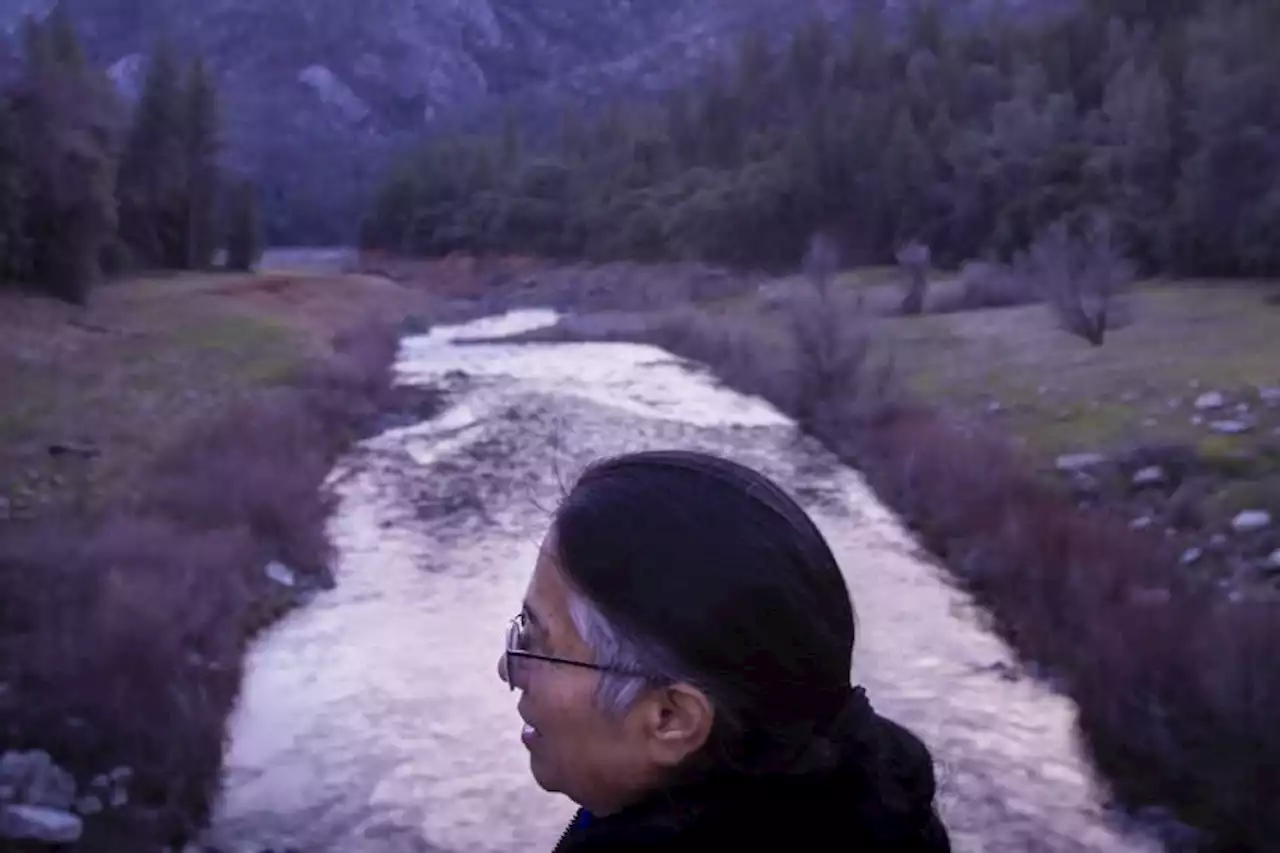 Endangered salmon will swim in California river for first time in 80 years