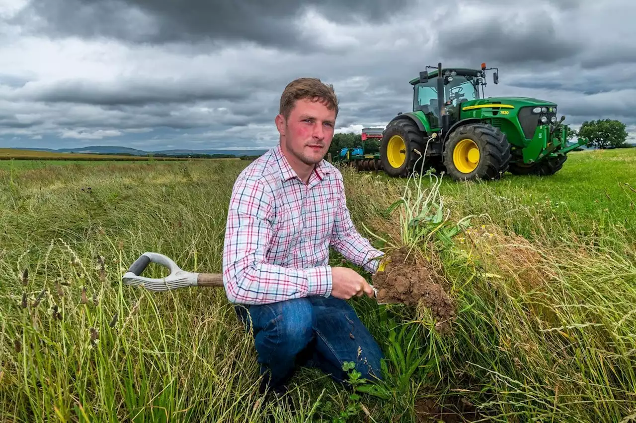 Farm of the Week: American zero tillage techniques in Yorkshire - and fertiliser costs up by 400% in a year