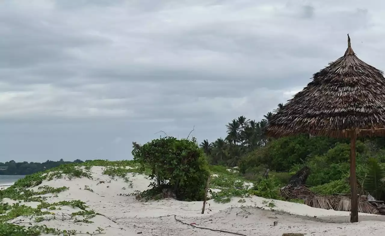 Bringing Coral Reefs Back to Life in Kenya #AfricaClimateHope