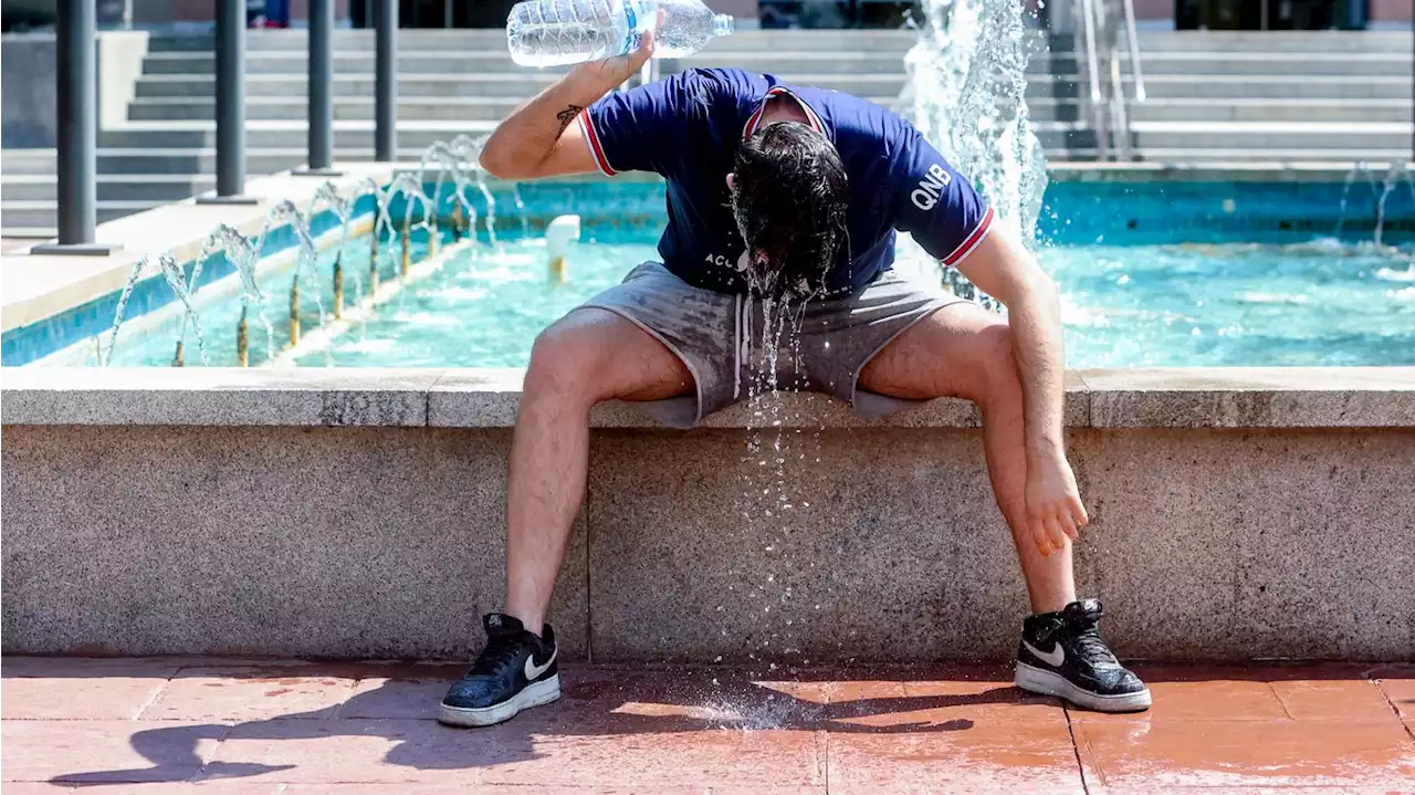 Heat wave kills more than 1,000 people in Spain and Portugal