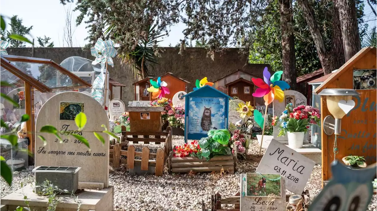 Mussolinis Huhn ruht auf dem ältesten Tierfriedhof Italiens