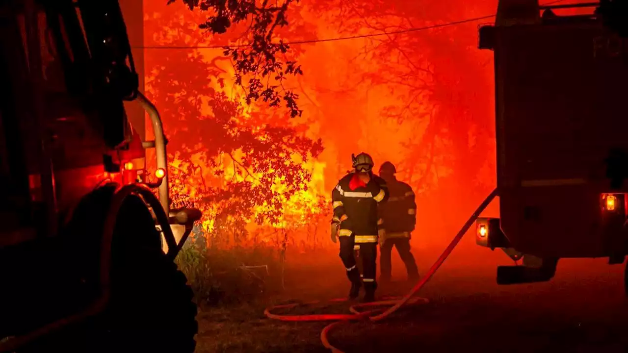 Waldbrände und Hitze: Wo brennt es aktuell in Frankreich?