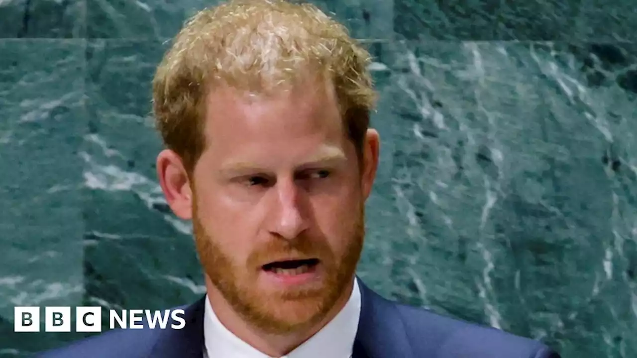 Prince Harry warns UN of global assault on freedom