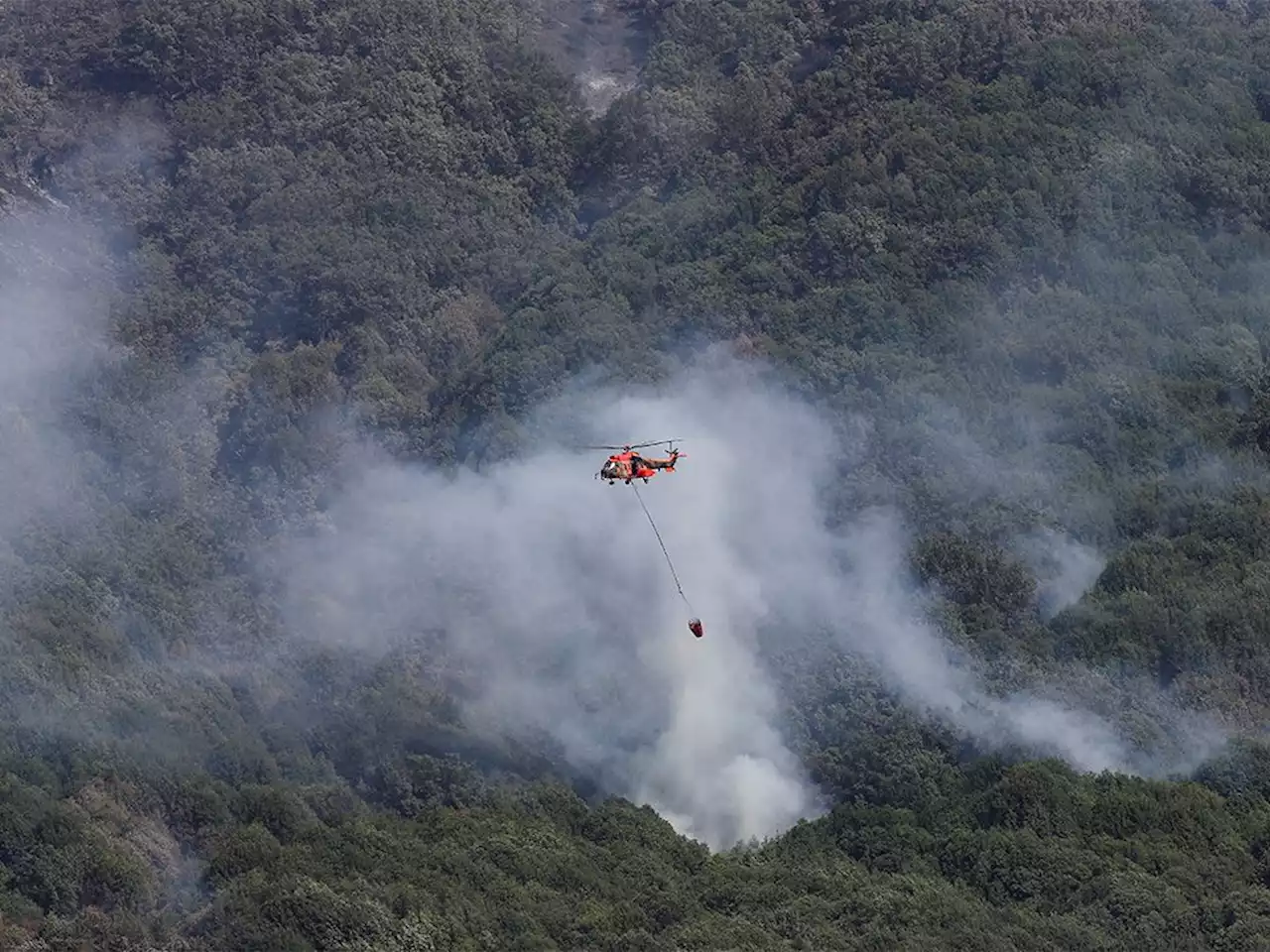 'Climate change affects everyone': Europe battles wildfires in intense heat