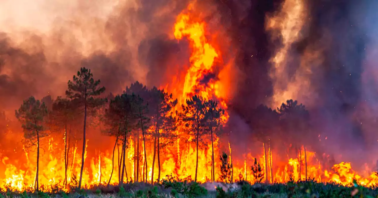 Fires scorch France and Spain as temperature-related deaths soar in European heat wave