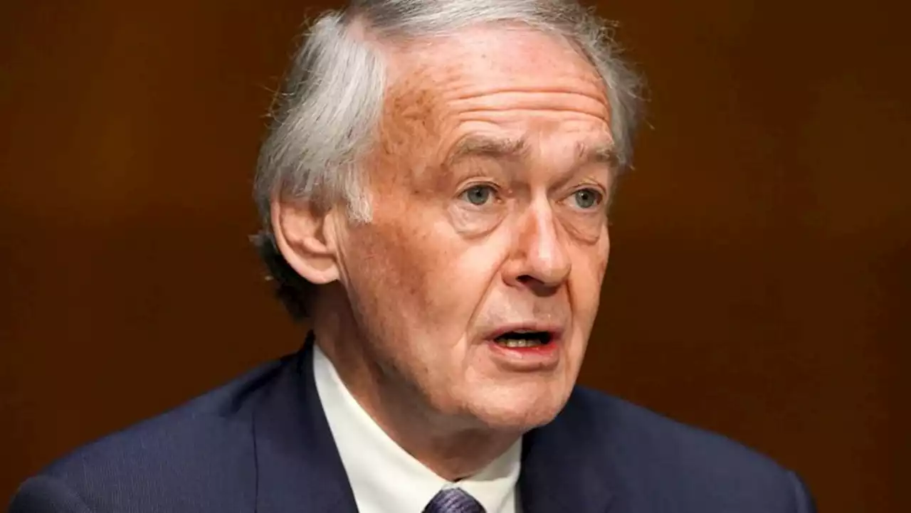 US Senate Democrats plan bill aiming to restore 'net neutrality'