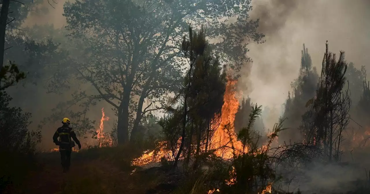 Calor récord en Europa: Francia lidia con incendios gigantescos y el Reino Unido declara un 'alerta roja' por primera vez en la historia