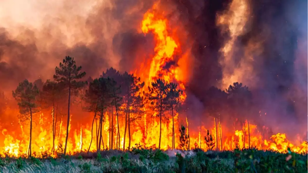 Europe broils in heat wave that fuels fires in France, Spain