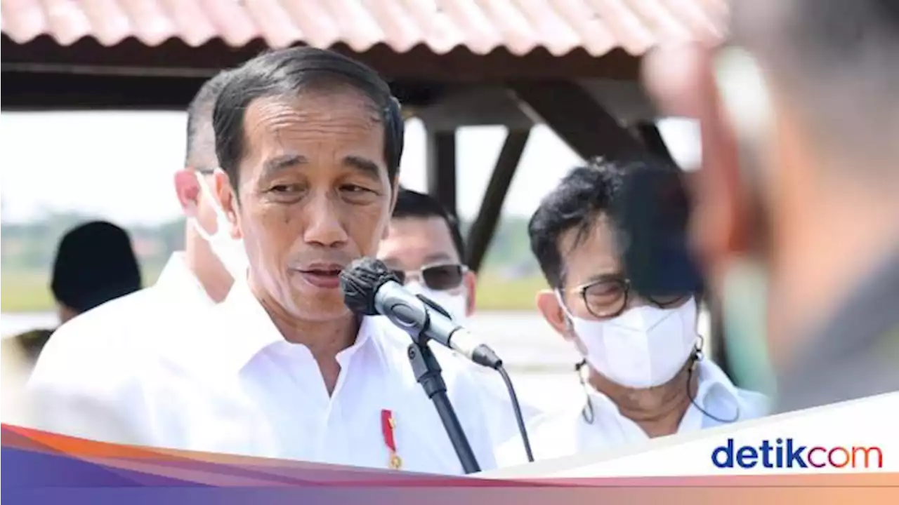 Jokowi Restui Bangun Pabrik Minyak Pesaing CPO, Apa Itu?