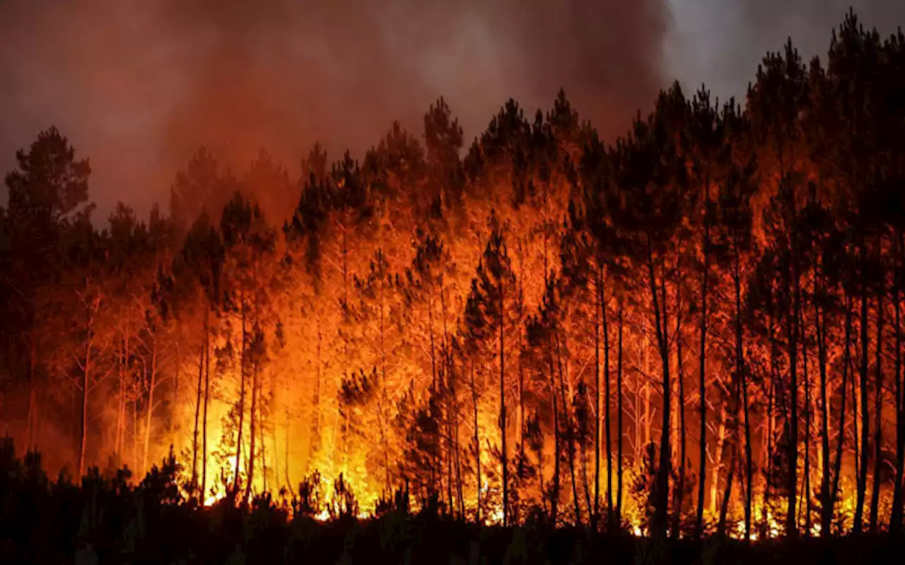 Britain, France brace for temperature records as Europe fires rage