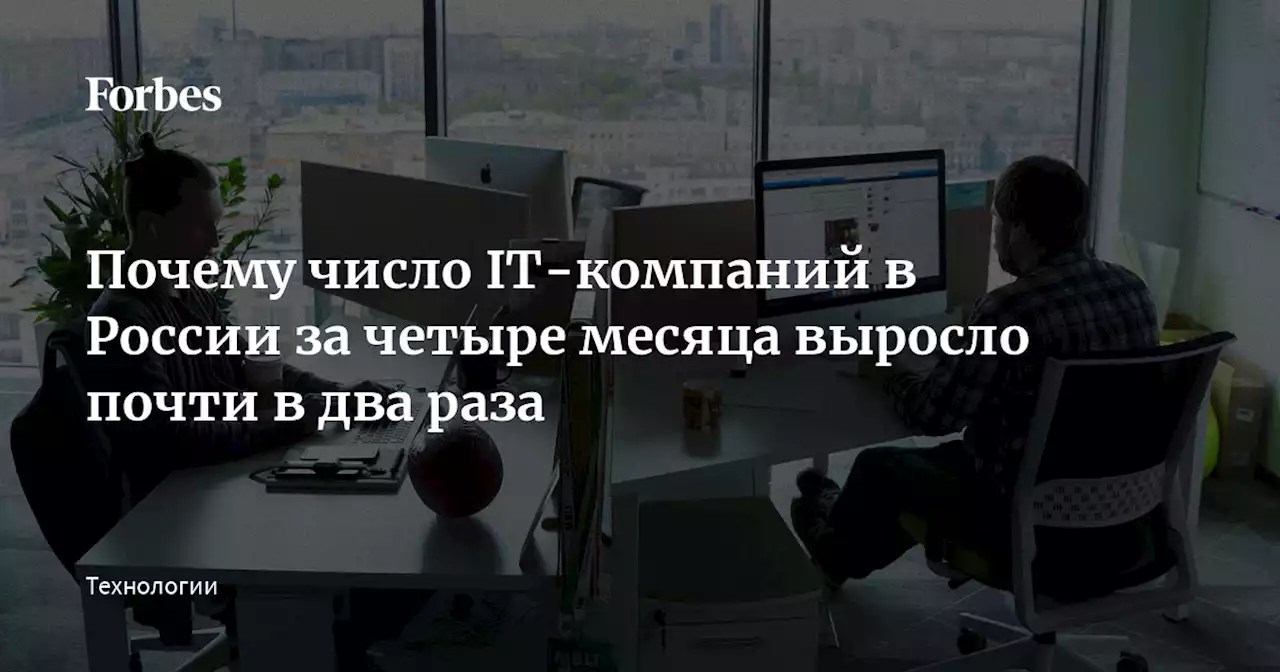 Почему число IT-компаний в России за четыре месяца выросло почти в два раза