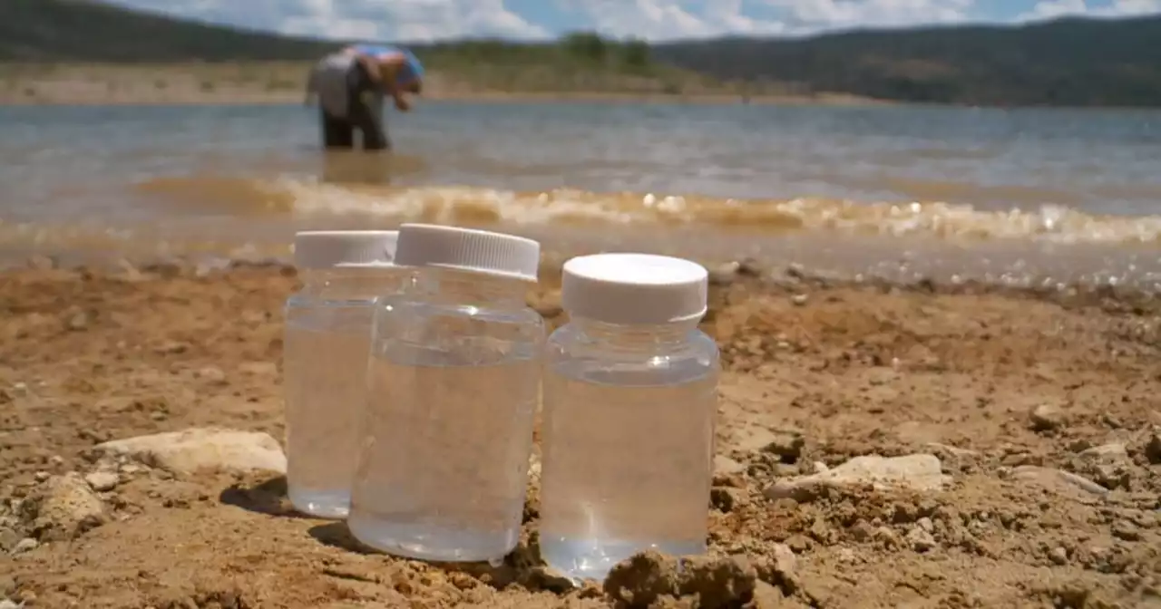 Utah DEQ tests reservoirs for harmful algal blooms, pathogens