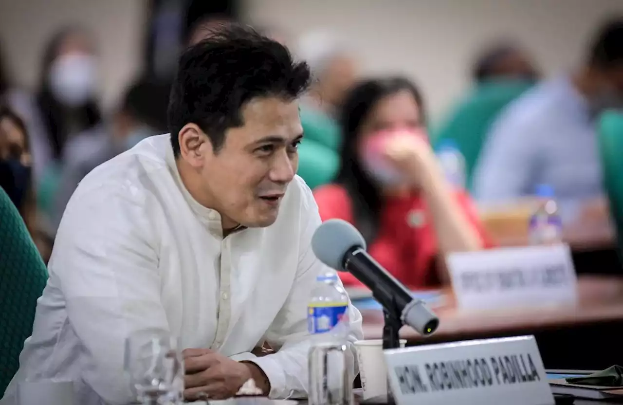 Robin Padilla wants Filipino version of gov't records