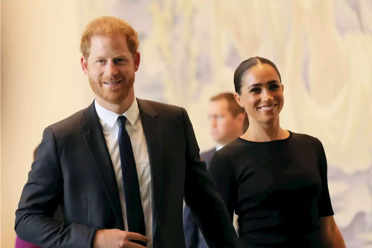 The Hidden Message Behind Meghan Markle’s Outfit Today At The UN General Assembly