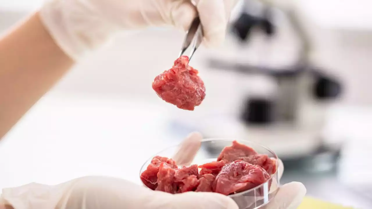 Chinese researchers develop a new way to mass produce lab grown meatballs