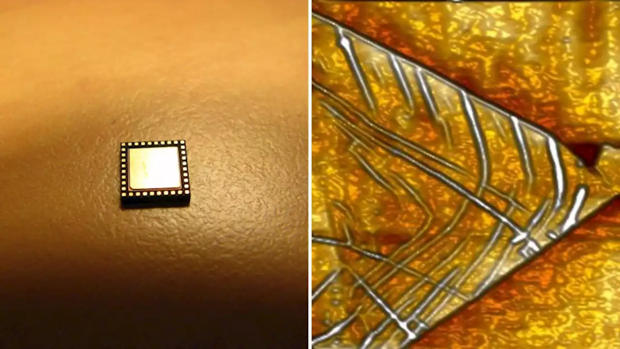 Physicists Create Microchip 100 Times Faster Than Conventional Ones