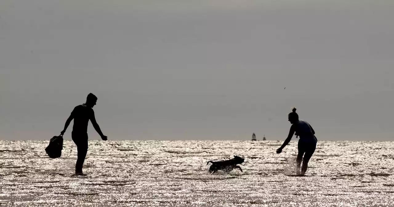 Dublin Airport records new high of 28.9 degrees as Ireland faces hottest day this year
