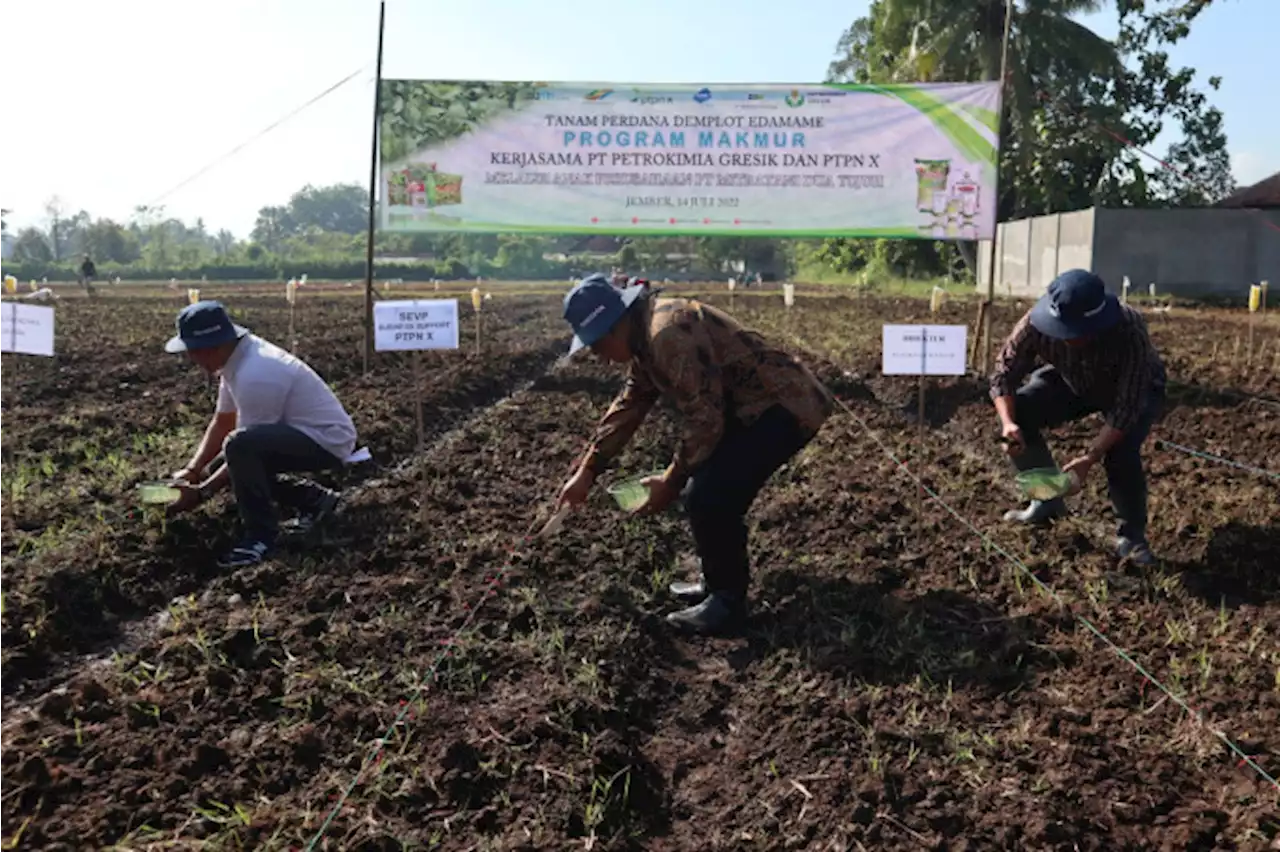 Tingkatkan Produk Berkualitas dengan HPP Rendah