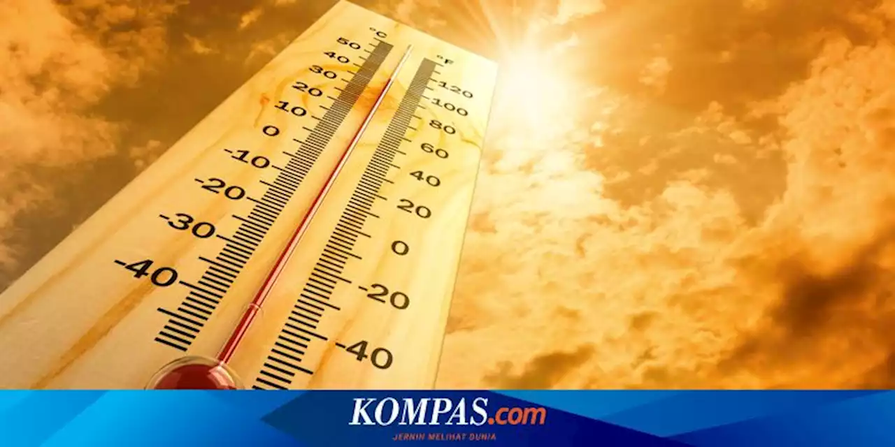 Perancis Akan Diterjang Puncak Gelombang Panas, Suhu di Atas 42 Derajat Celsius