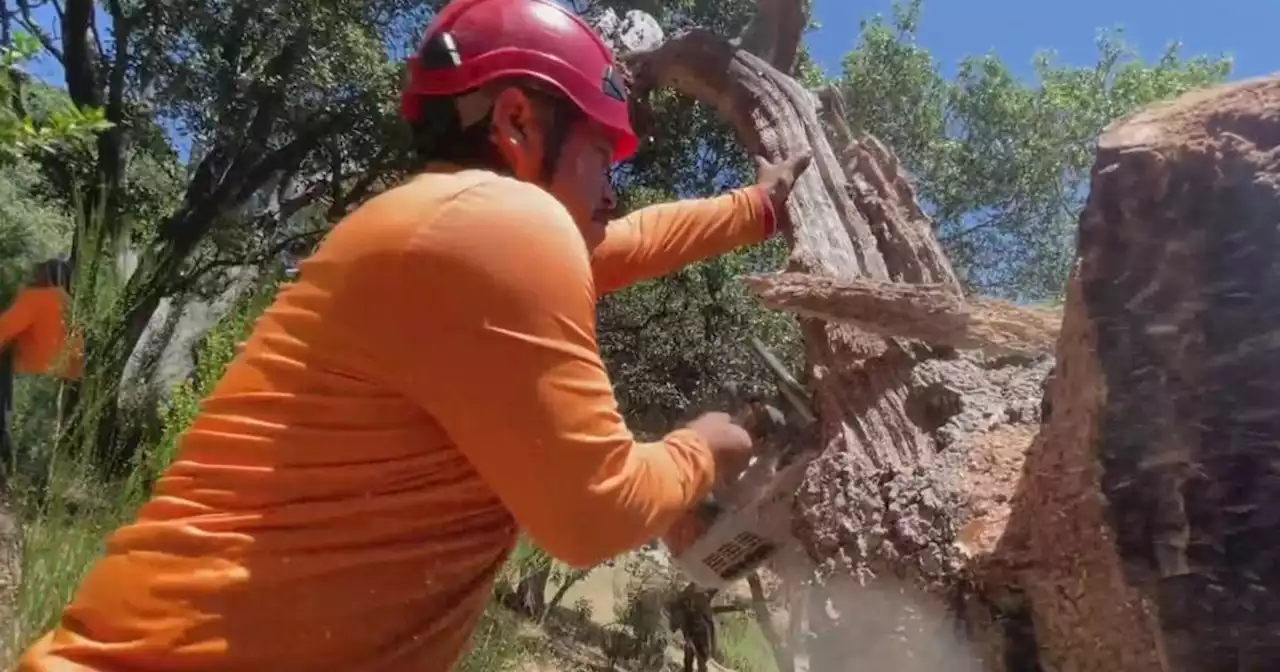 North Bay fire abatement crews busy as work clearing brush stacks up