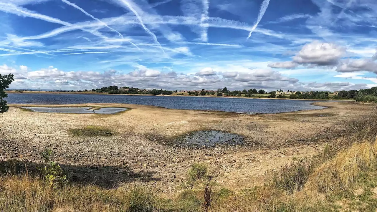 Boy, 16, dies after going swimming in lake during heatwave