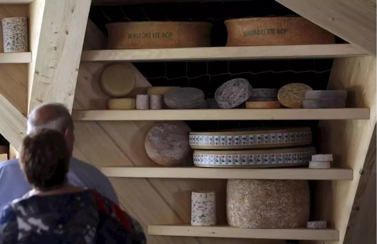 Here’s one way of making vegan cheese without soy or cashew nuts...