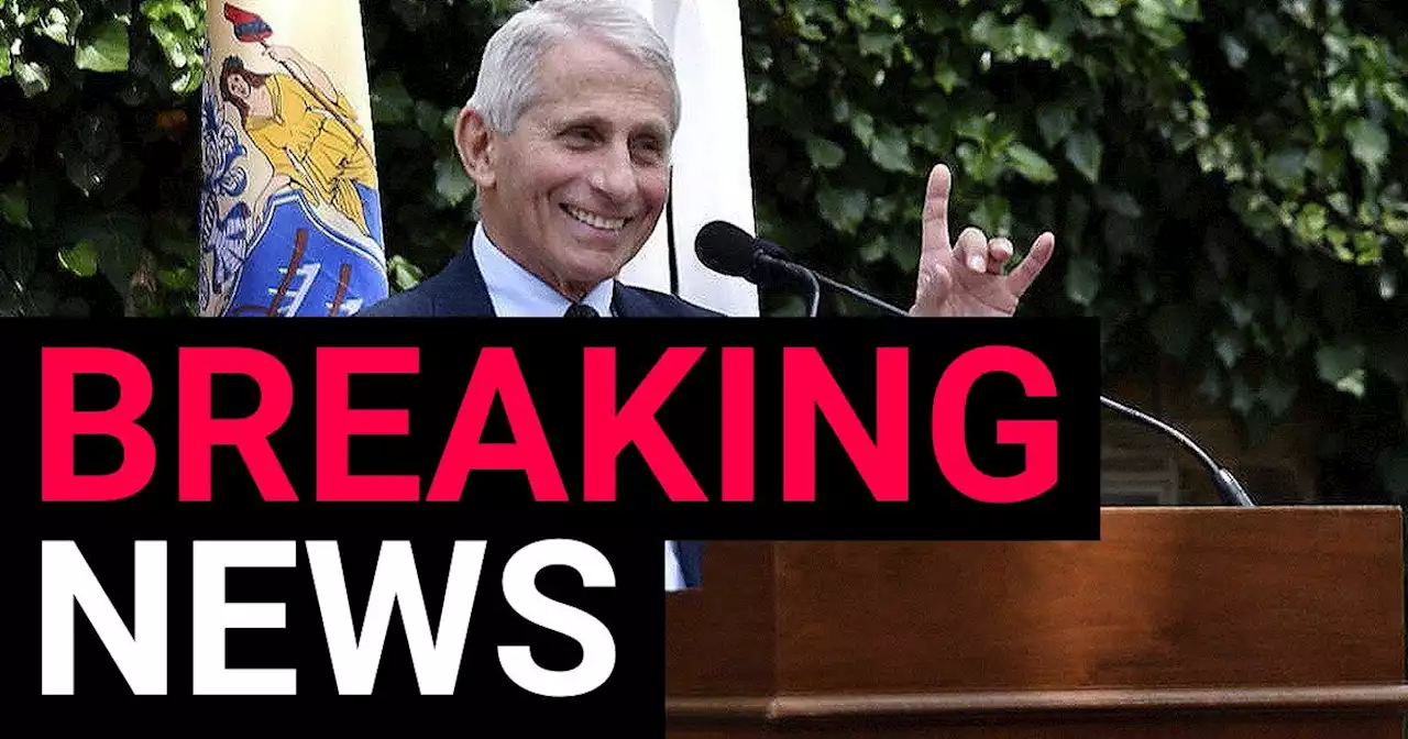 Dr Fauci plans to step down before the end of Joe Biden's first term