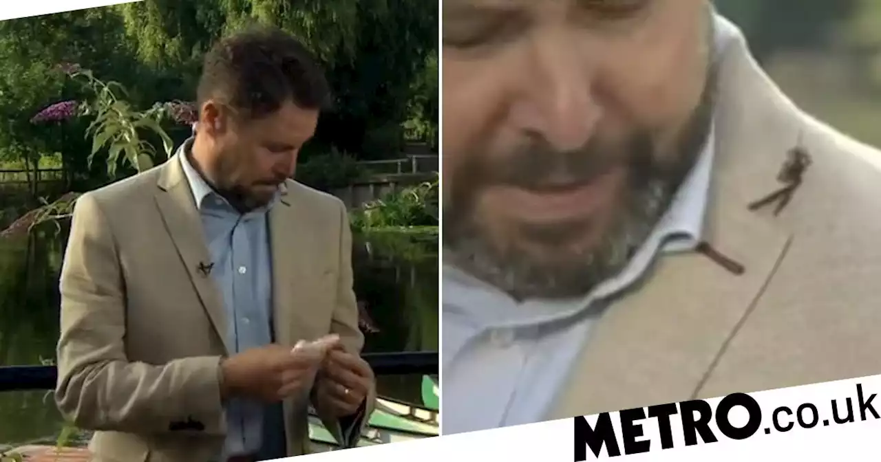 Jon Kay splattered by pigeon poo live on BBC Breakfast