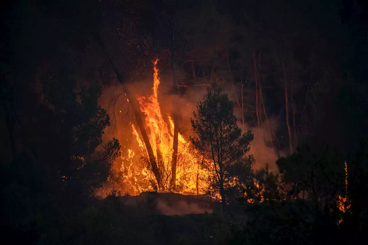 Fires Scorch Spain and France as Europe Faces Extreme Heat Waves