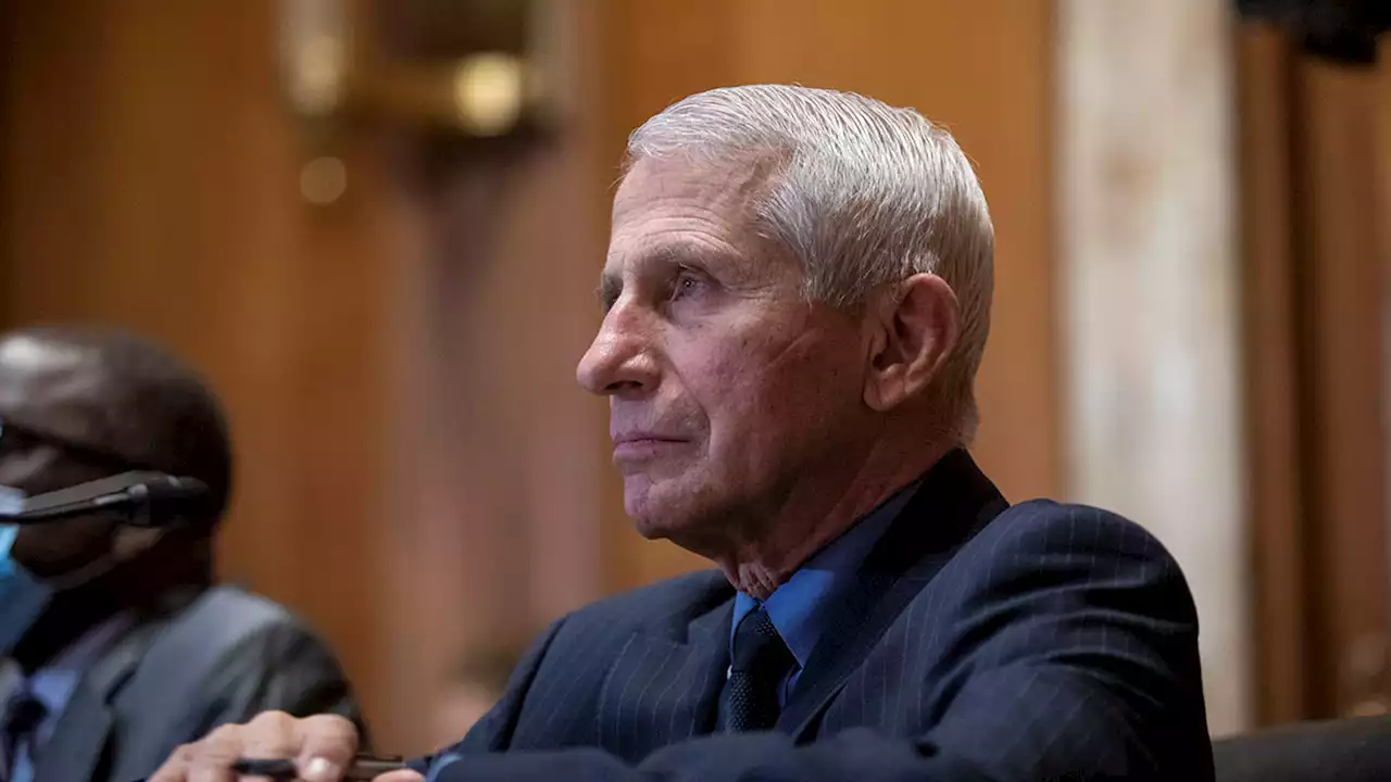 Anthony Fauci Likely to Retire by the End of Biden's Term