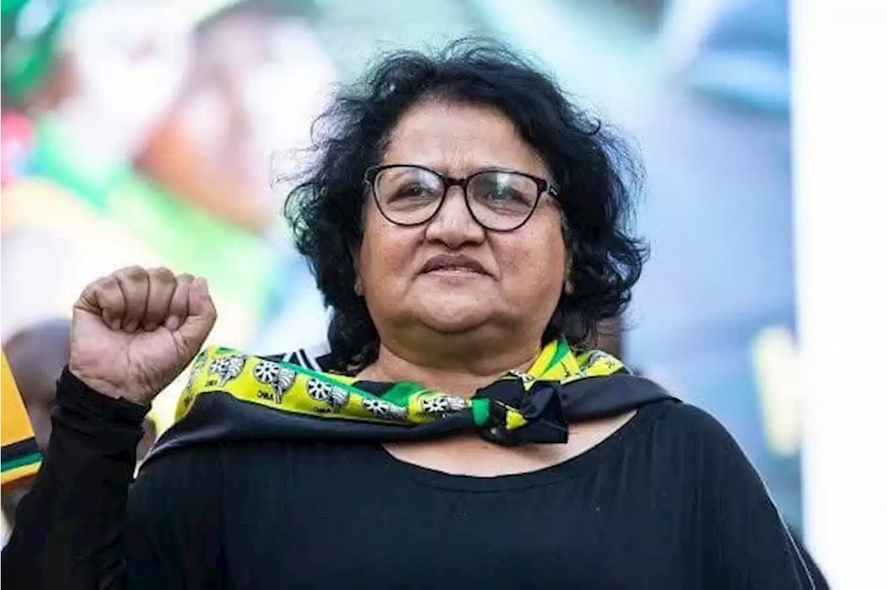 Ebrahim Harvey | Non-racialism, tribalism concerns in the ANC weighed heavily on Jessie Duarte | News24