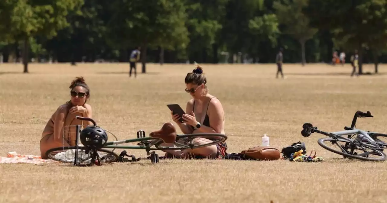 Northants heatwave updates with county set to hit 38C