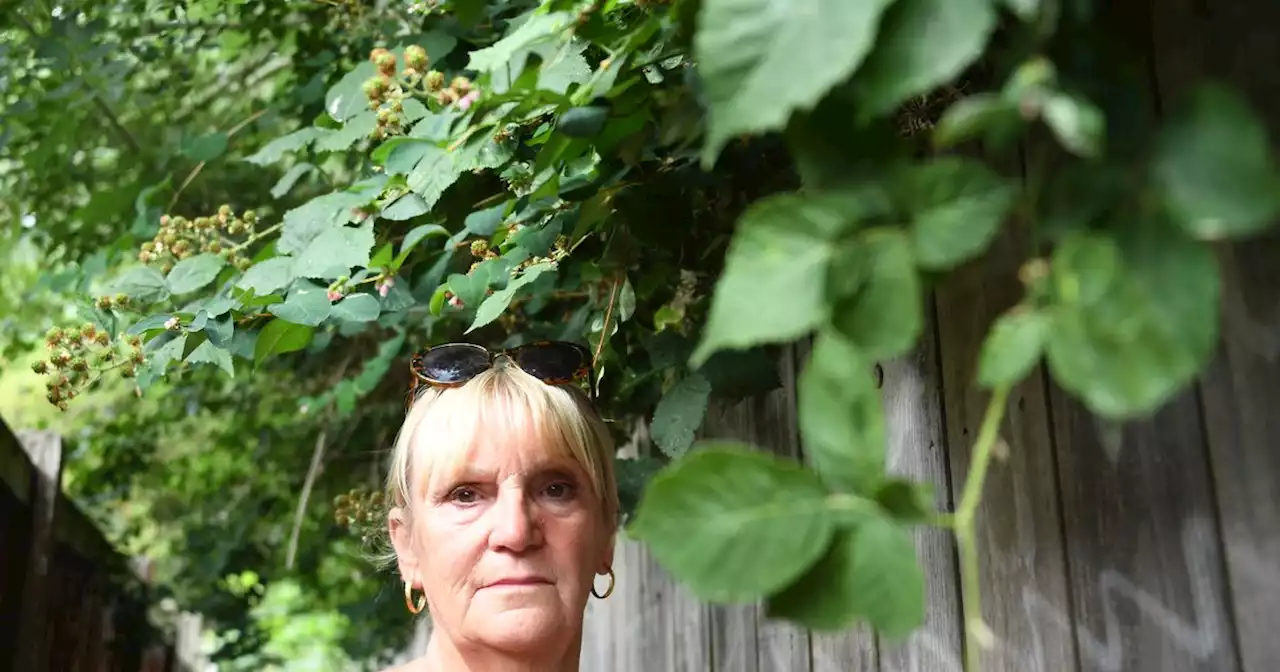 Woman 'frightened' of overgrowth near home after asbestos dumped