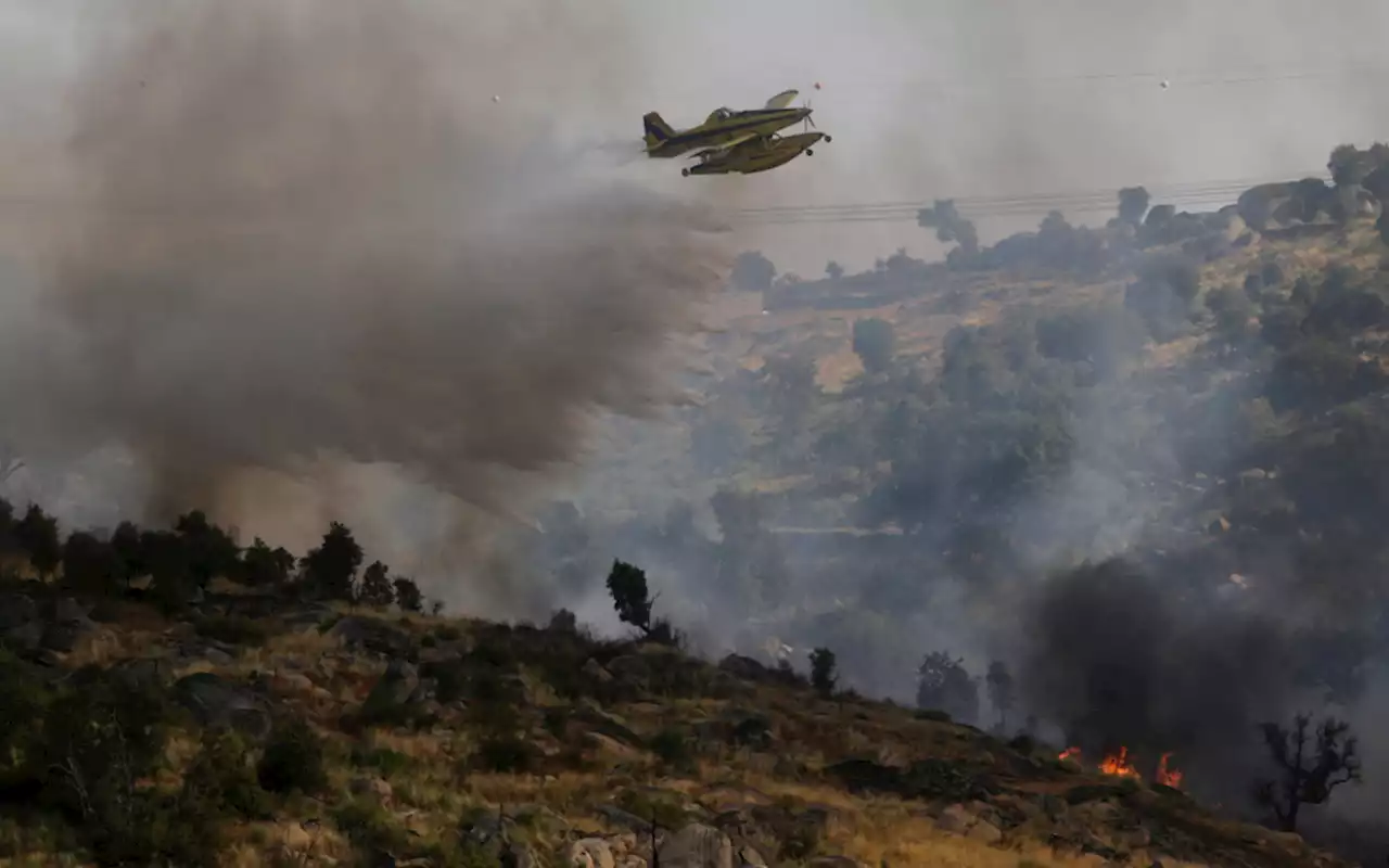 Incêndios. A1 reabriu ao trânsito entre Pombal e Leiria, fogo em resolução