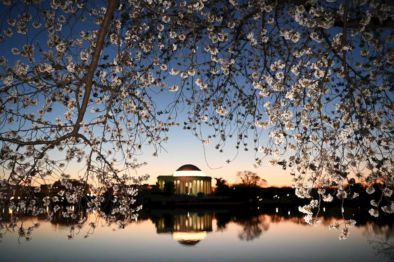 Park Service to hold public meeting on Tidal Basin repair project