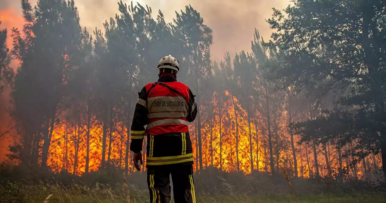 Waldbrände in Südfrankreich: „Dieses Feuer ist ein Monster“