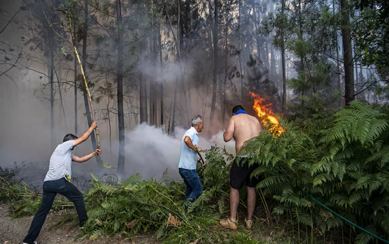 With Record-Breaking Heat, Europe Glimpses Its Climate Future