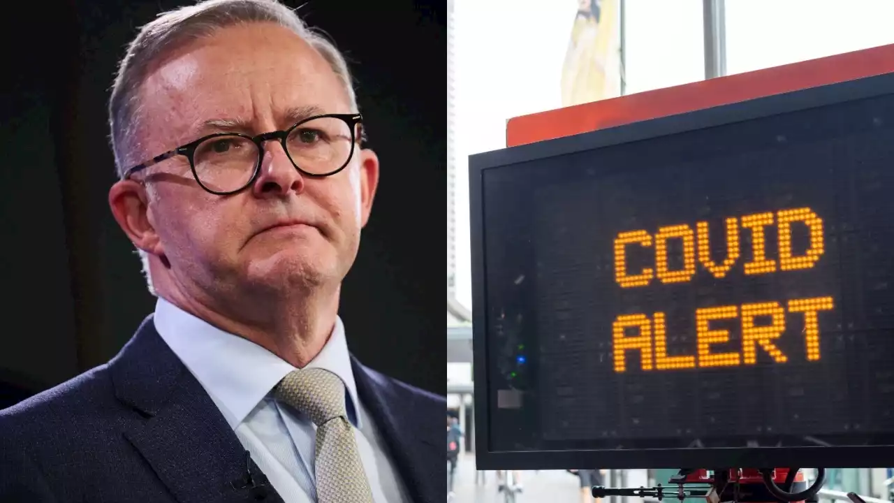 'We need to know': Albanese pushed to release COVID-19 modelling