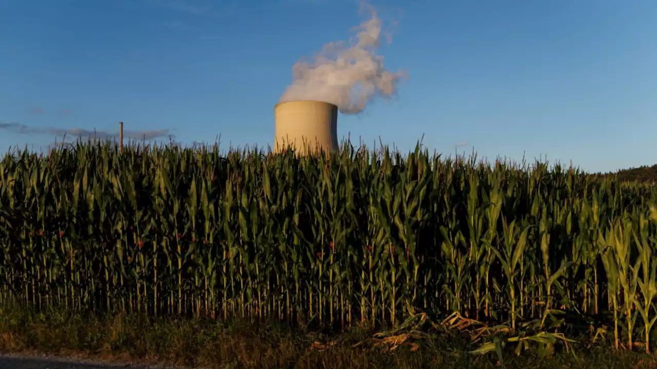 Gaskrise: Ampel lässt Laufzeitverlängerung für Atomkraftwerke prüfen